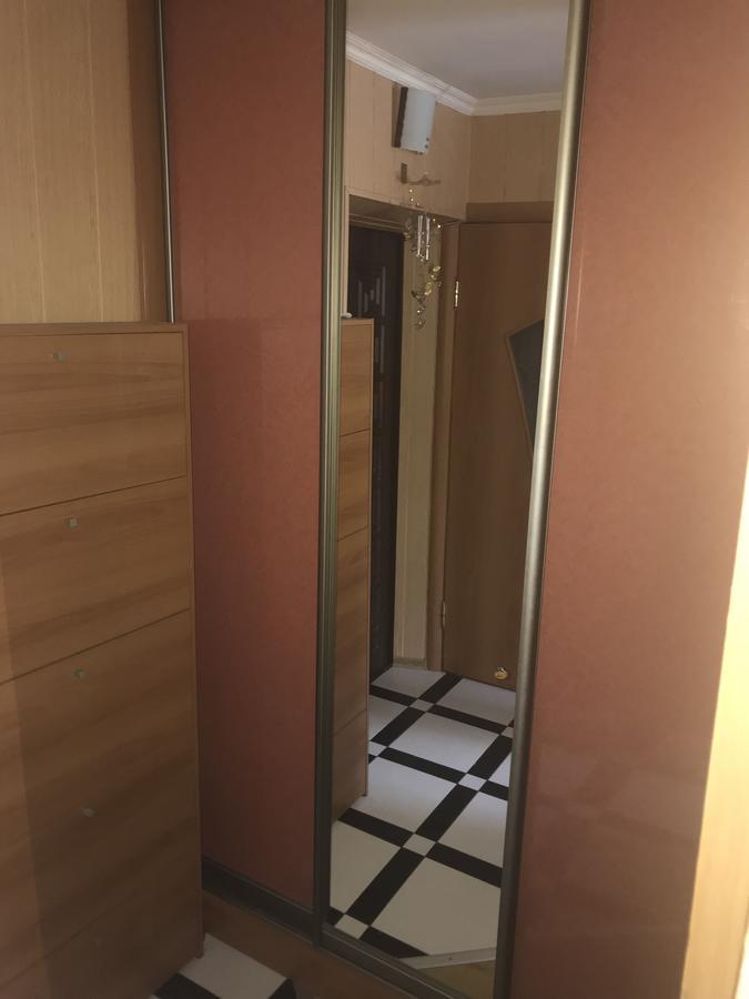 Vasileva Apartment Kamianets-Podilskyi
